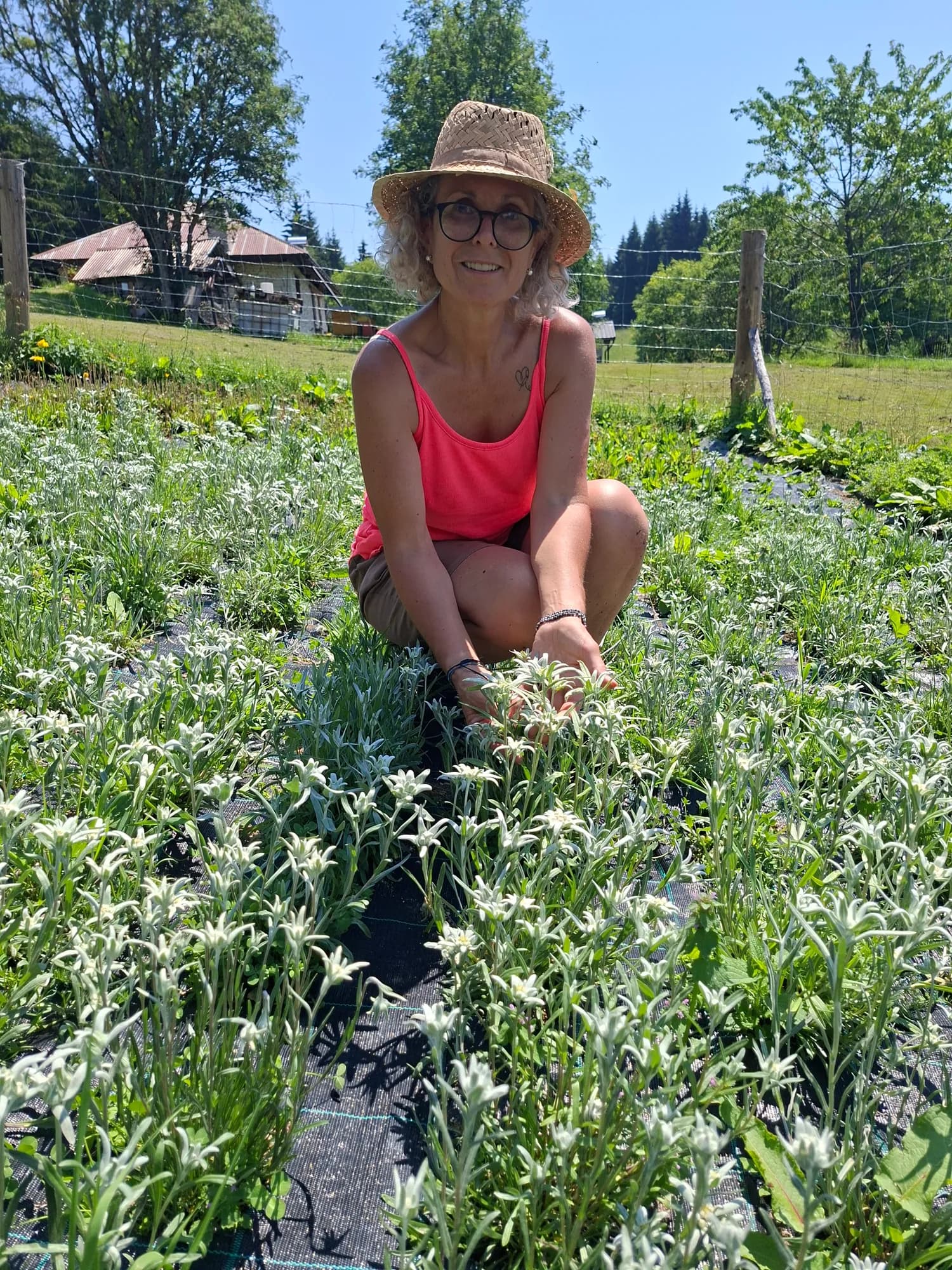La raccolta dei fiori nel campo di Maso Muraro
